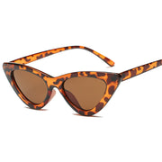 Fashion sunglasses woman brand Designer triangular cat uv400