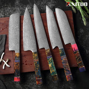 Kitchen Knife Set Chef 67 Layers Japanese Damascus Steel Razor Sharp Blade Colorful Wood Handle