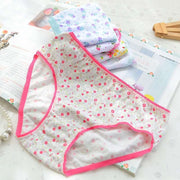 12Pc/Lot  Baby Girls Underwear Cotton Panties Kids Short Briefs Children Underpants 2-12Y