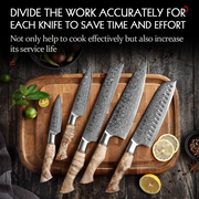 67 Layers Damascus Steel for Professional Kitchen Knife with Hight Quality Handle Set of 2-7Pcs